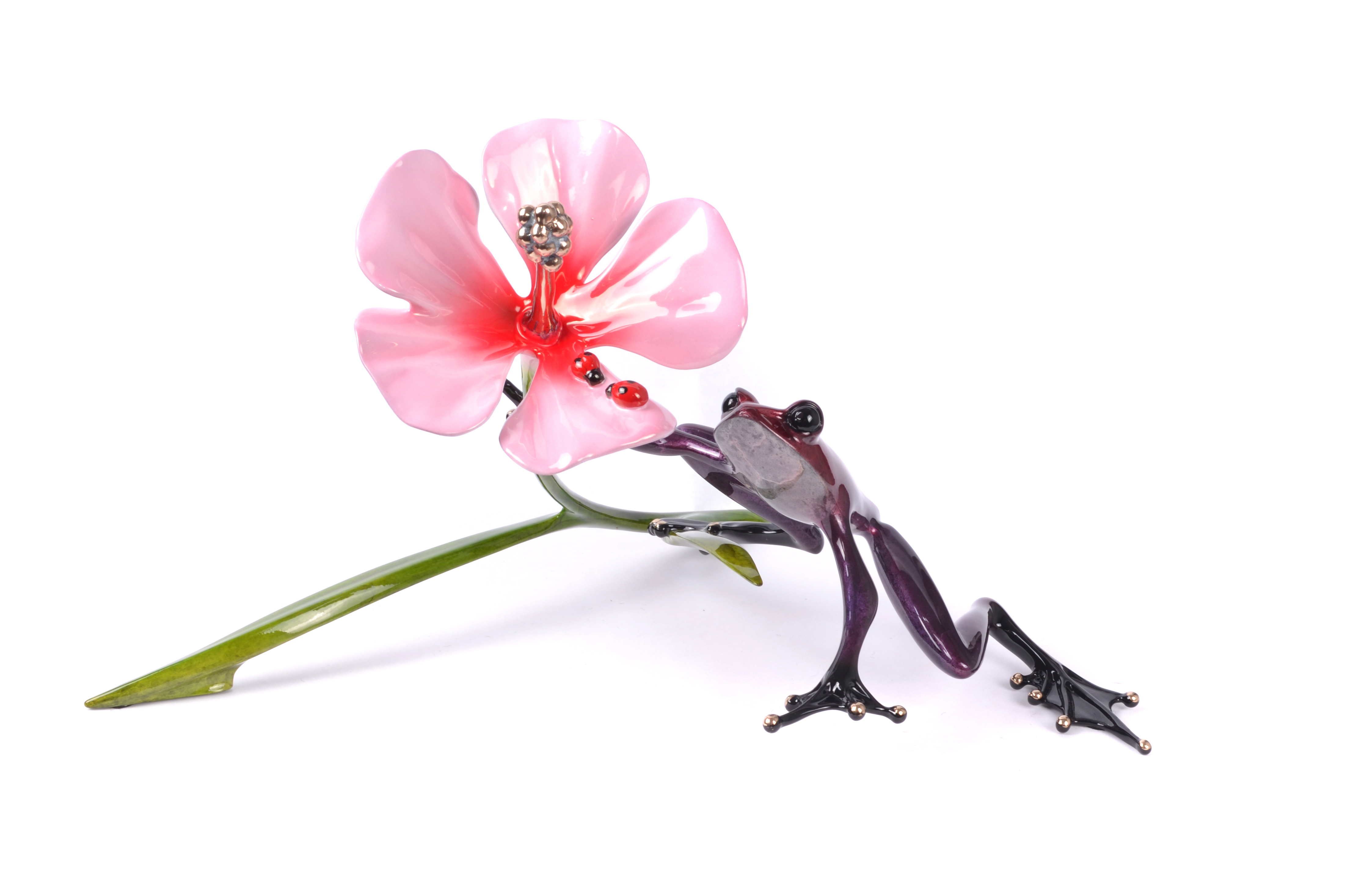 Signed, limited edition bronze frog with flower sculpture by Tim Cotterill