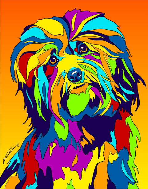 Havanese Print on Metal by Michael Vistia